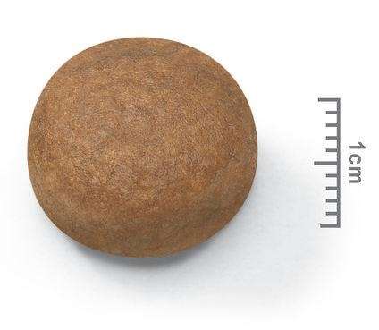 【ROYAL CANIN法國皇家】大型成犬MXA（4kg）