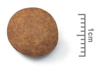 【ROYAL CANIN法國皇家】大型幼犬MXP（4kg）