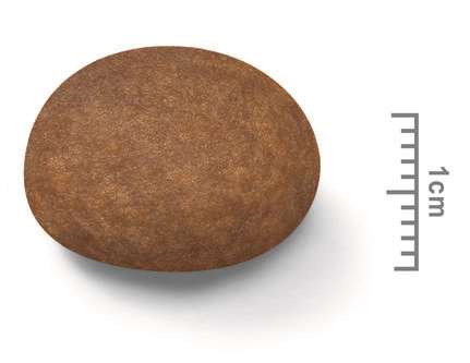 【ROYAL CANIN法國皇家】中型老犬M+7（10kg）