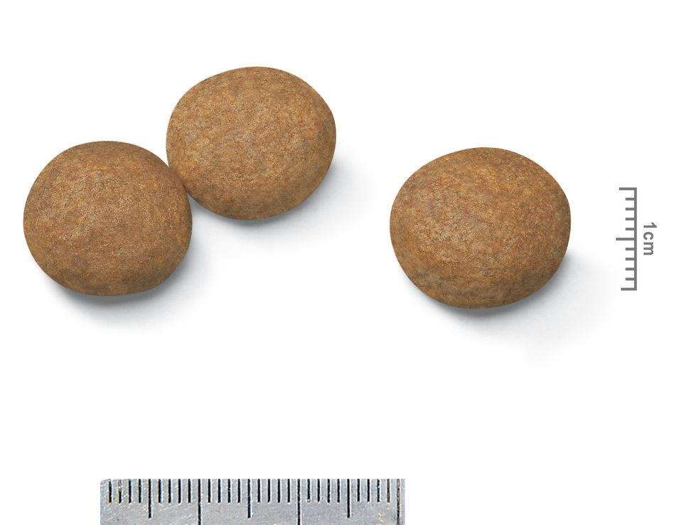 【ROYAL CANIN法國皇家】中型成犬MA（15kg）