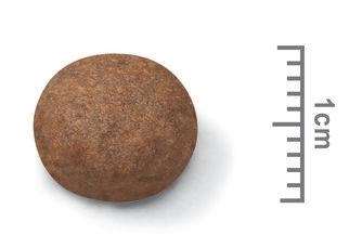 【ROYAL CANIN法國皇家】中型幼犬MP（15kg）