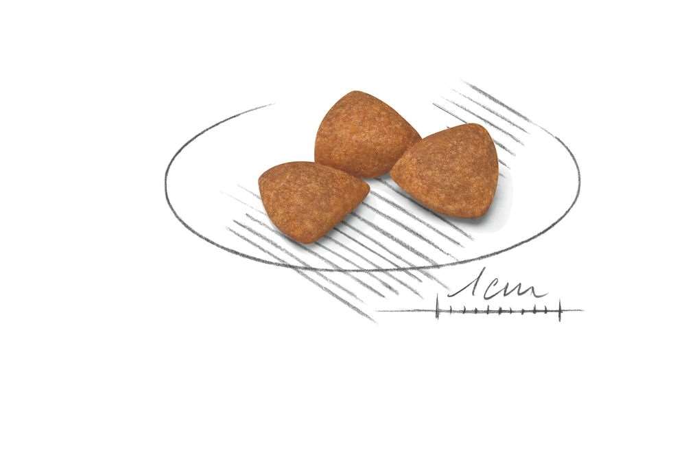 【ROYAL CANIN法國皇家】迷你型老齡犬XSA+12（1.5kg）