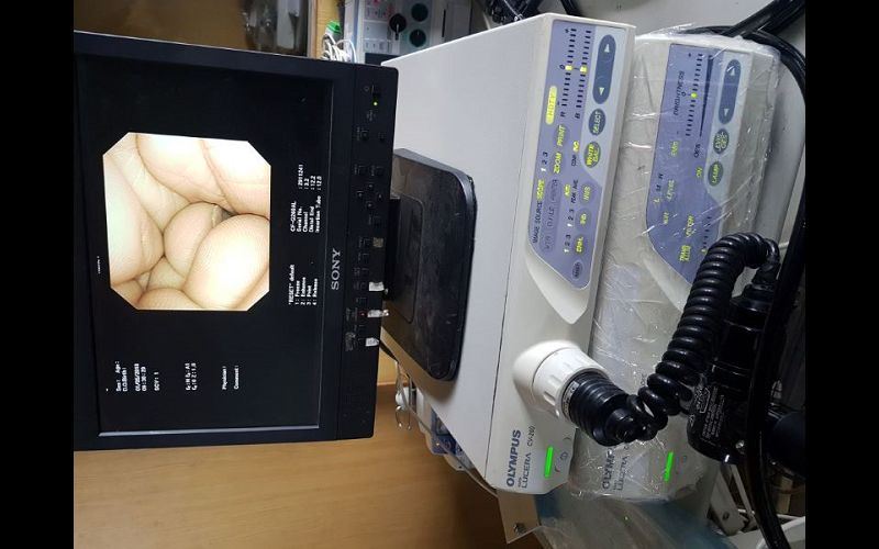 軟式內視鏡 廠牌 : Olympus 型號 : CV-260+CLV-260