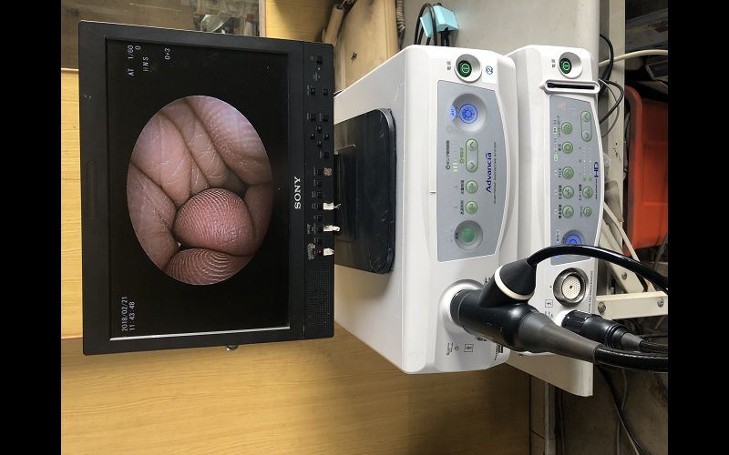 軟式內視鏡 廠牌 : FUJINON 型號 : VP-4450+XL-4450