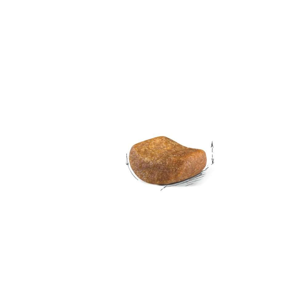  【ROYAL CANIN法國皇家】英國短毛成貓BS34(2kg)