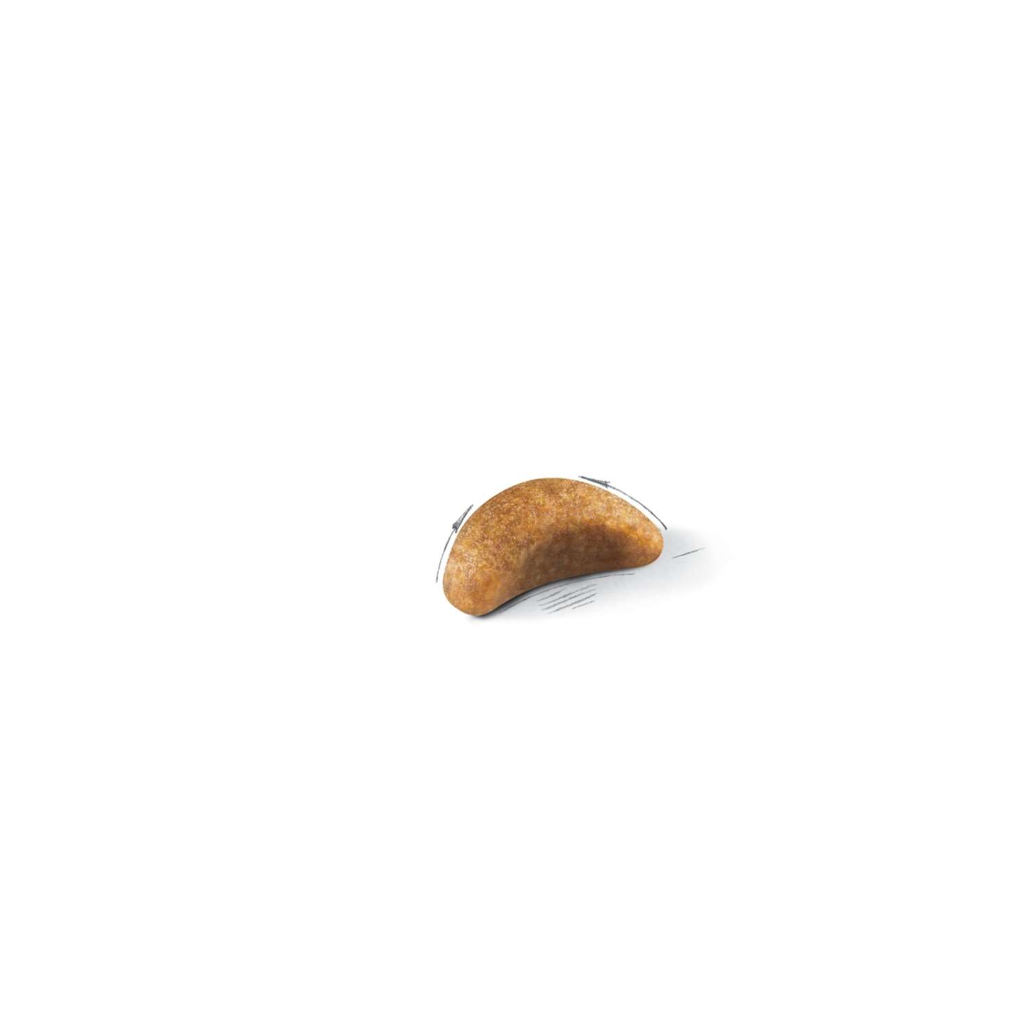 【ROYAL CANIN法國皇家】英國短毛幼貓BS38(2kg)