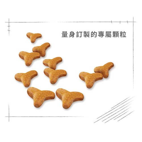 【ROYAL CANIN法國皇家】豹成貓BG40(10kg)