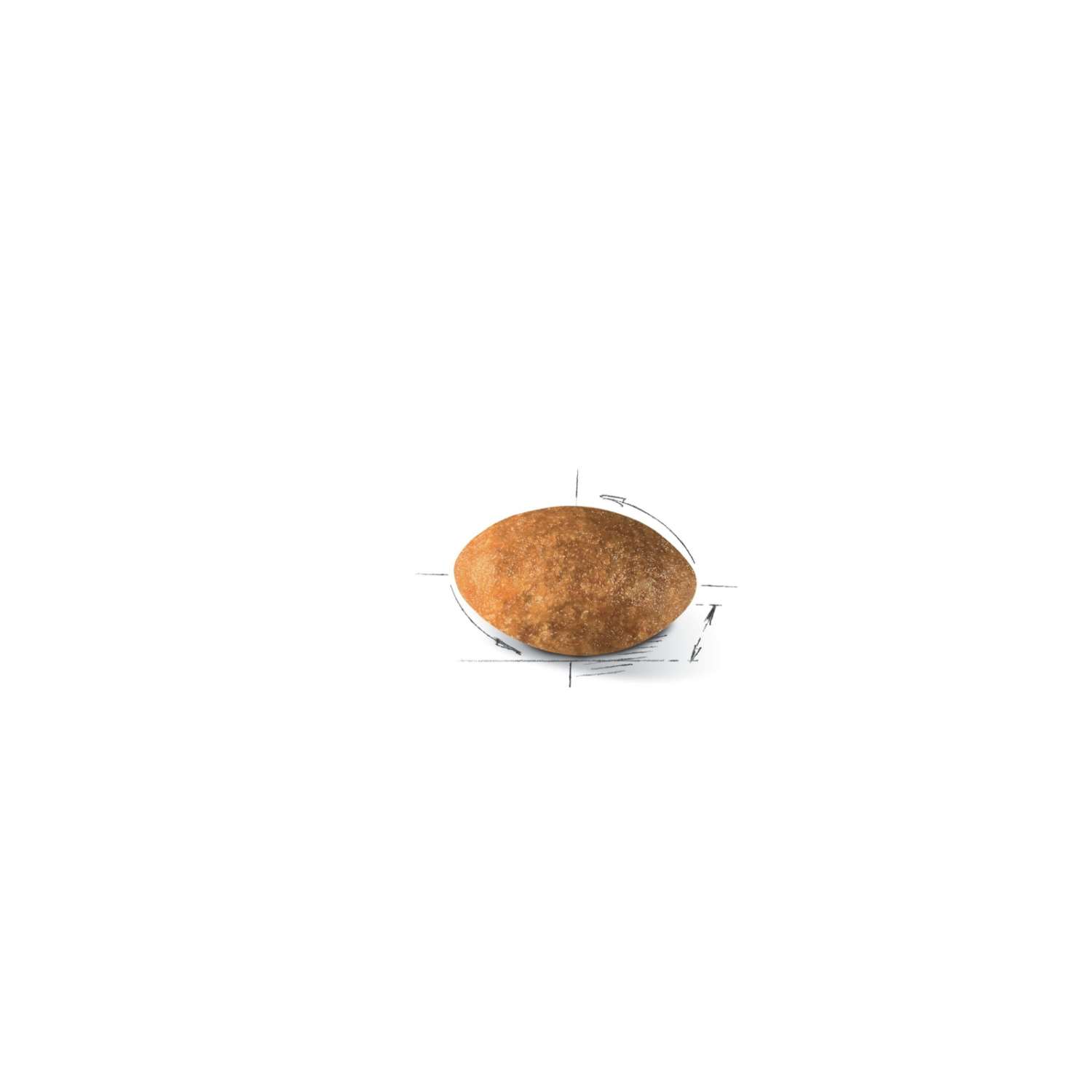【ROYAL CANIN法國皇家】波斯成貓P30(2kg)