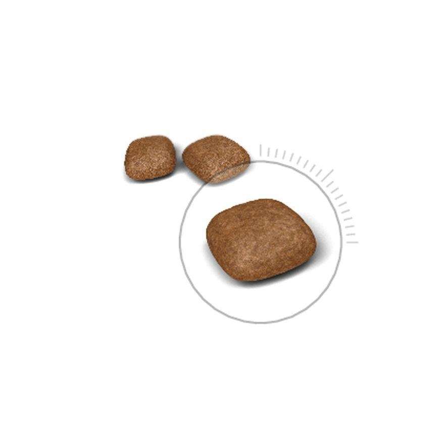 【ROYAL CANIN法國皇家】泌尿道保健成貓專用飼料UC33(10kg)