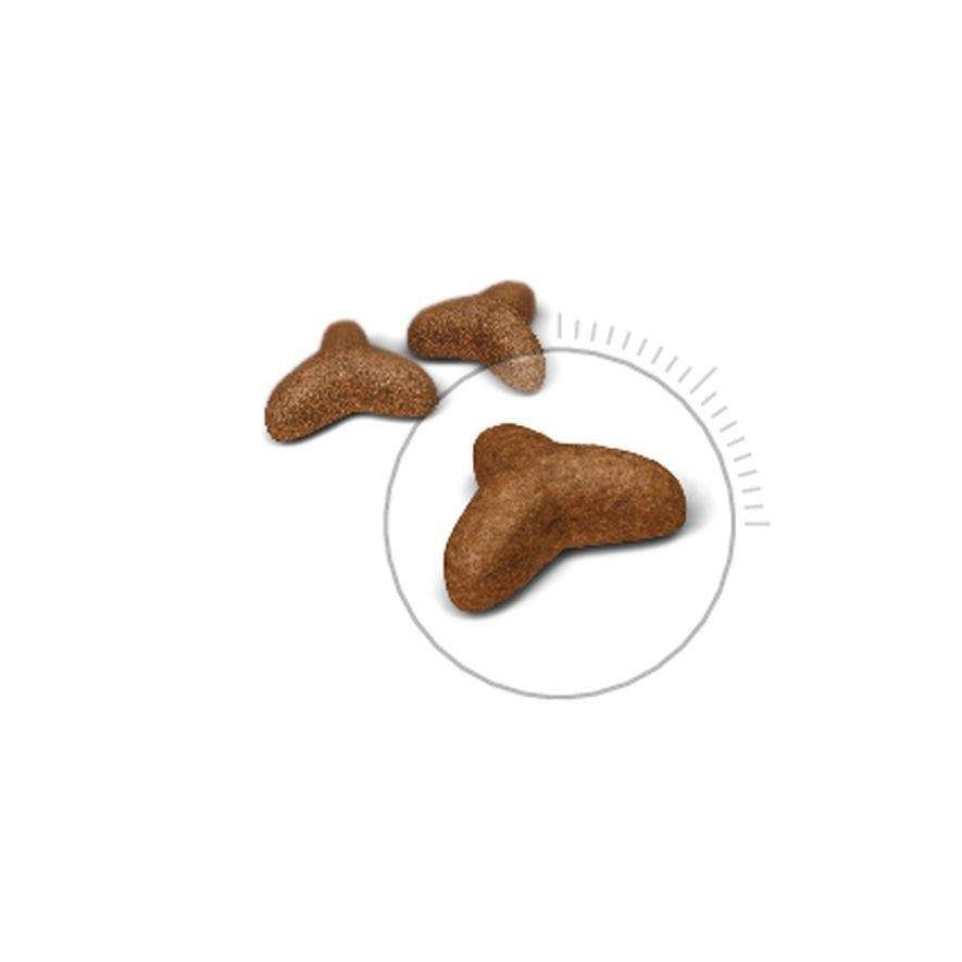  【ROYAL CANIN法國皇家】體重控制成貓L40(3kg)