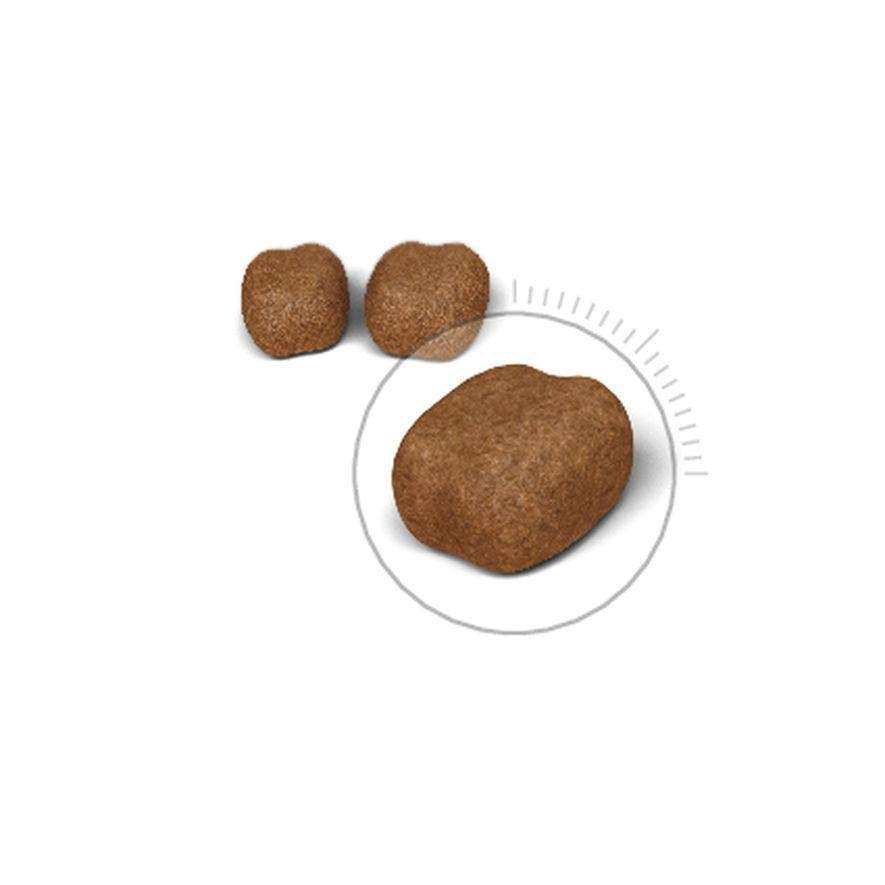  【ROYAL CANIN法國皇家】強效潔牙成貓O30(3.5kg)
