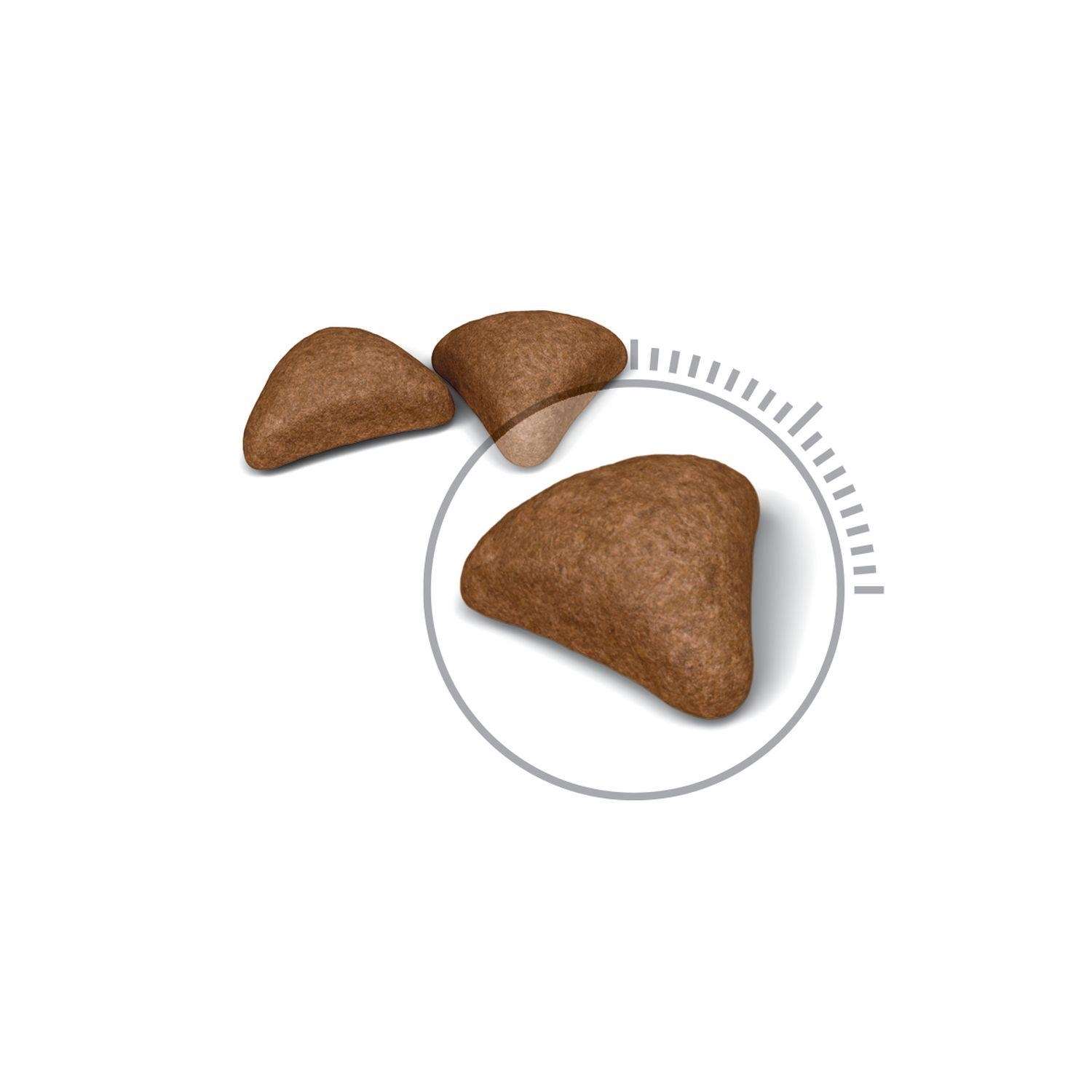 【ROYAL CANIN法國皇家】加強化毛成貓IH34(4kg)