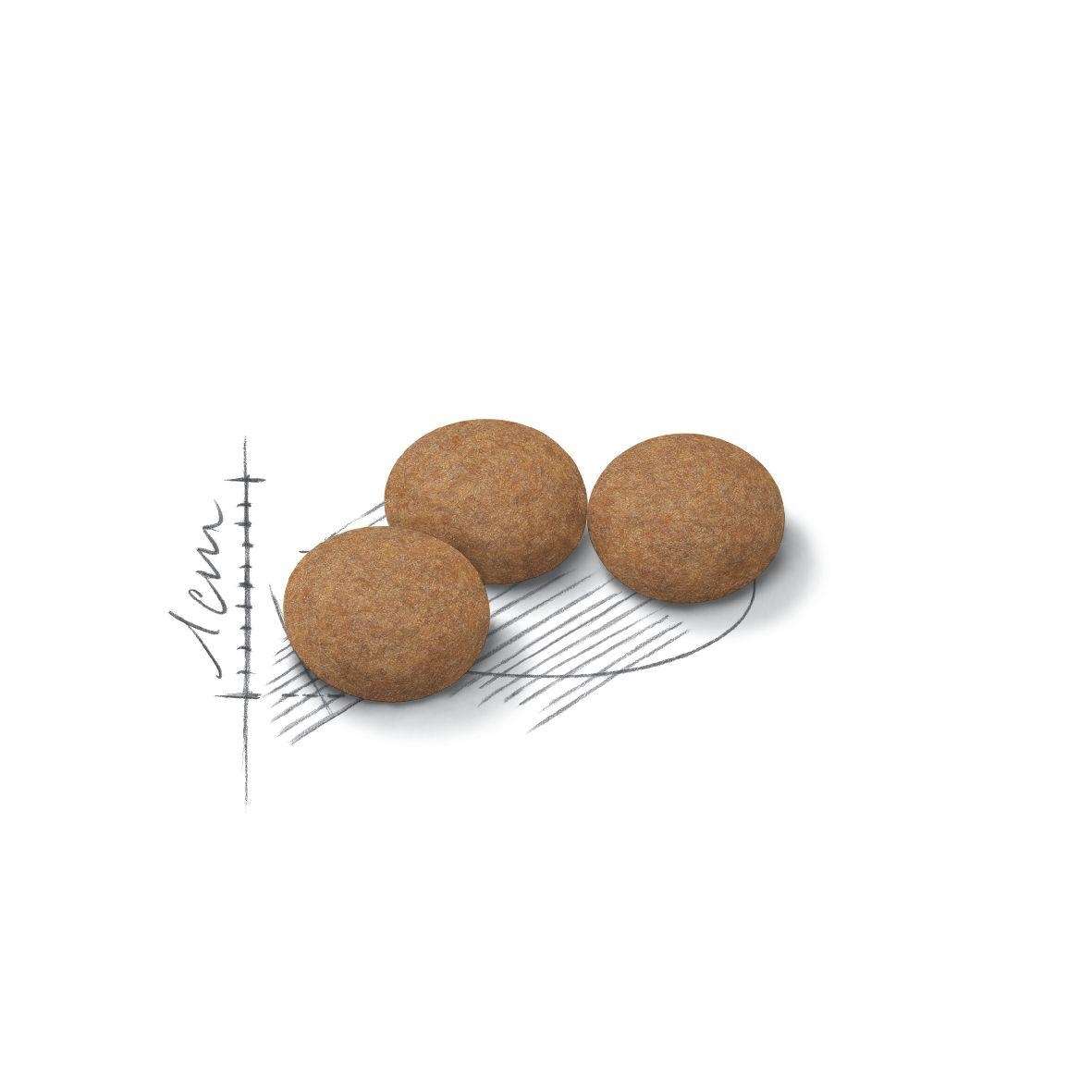 【ROYAL CANIN法國皇家】絕育老貓（12歲以上）S30+12(2kg)