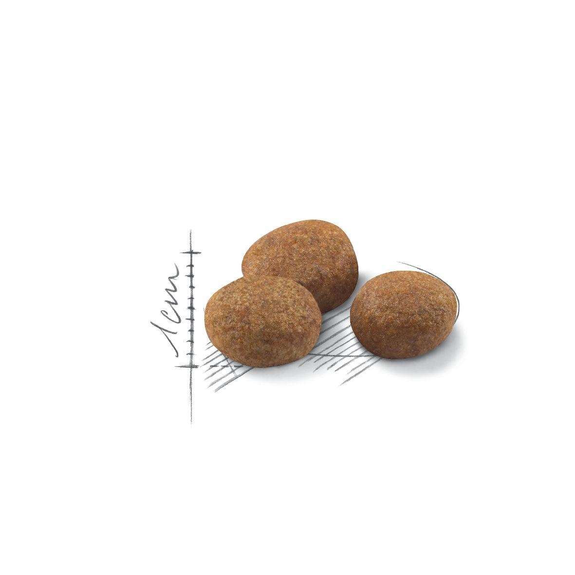 【ROYAL CANIN法國皇家】絕育熟齡貓（7歲以上）S36+7(1.5kg)