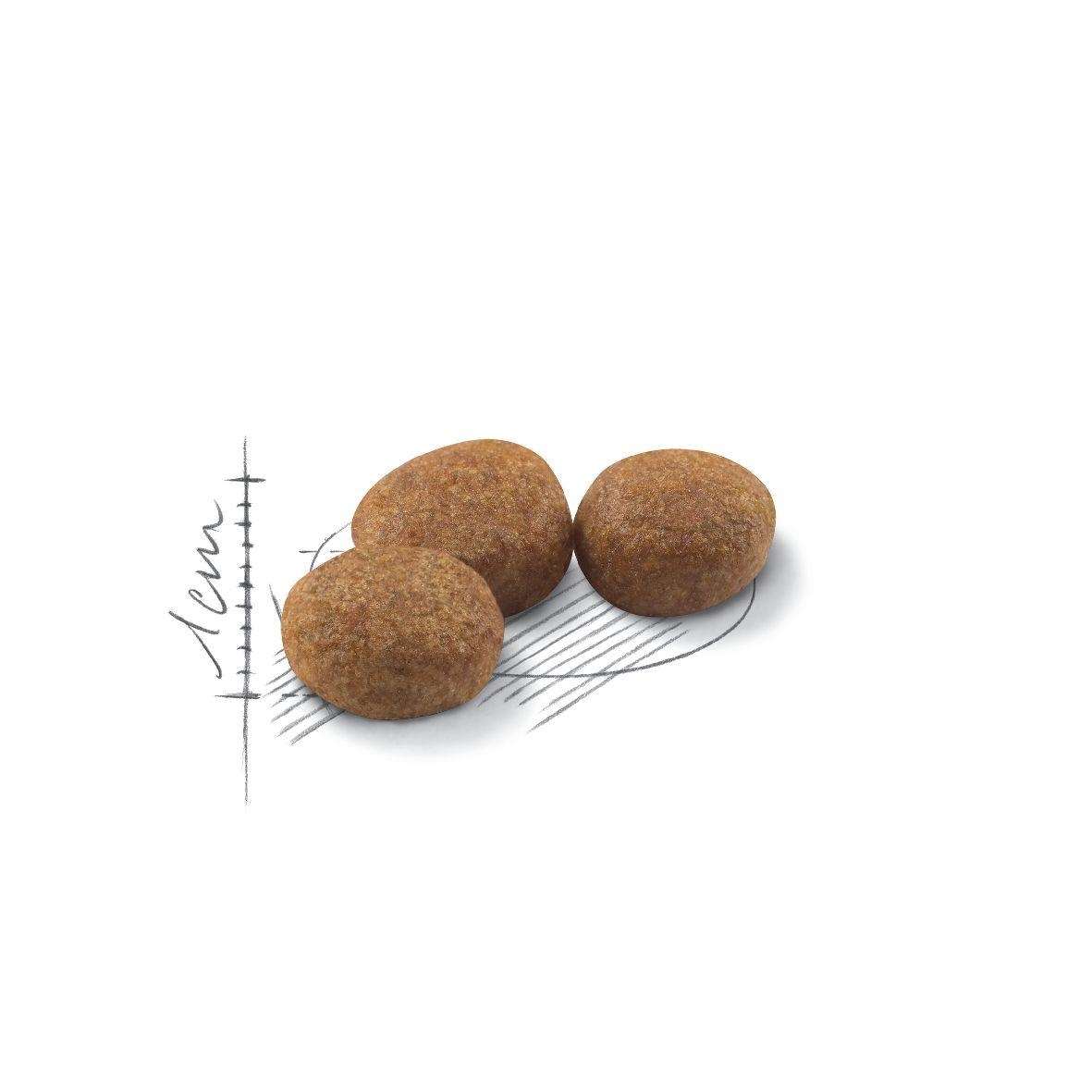 【ROYAL CANIN法國皇家】絕育成貓S37(4kg)
