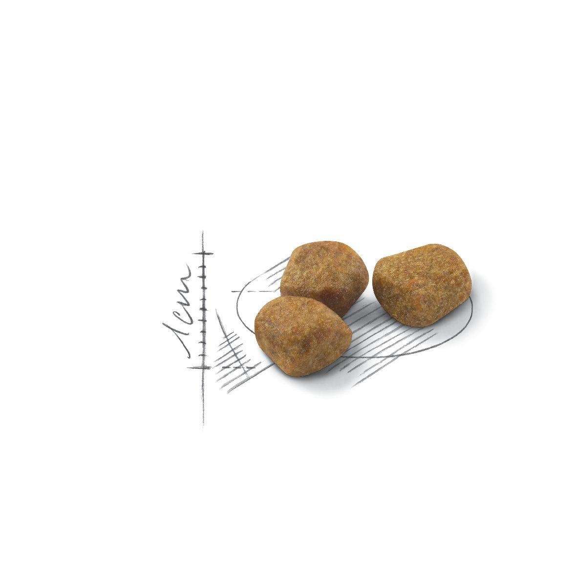 【ROYAL CANIN法國皇家】室內老貓（7歲以上）IN+7(1.5kg)