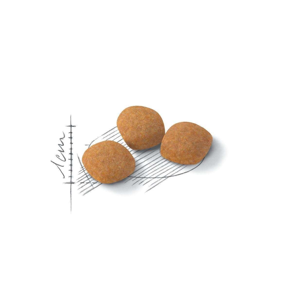 【ROYAL CANIN法國皇家】挑嘴貓-營養滿分E42(2kg)