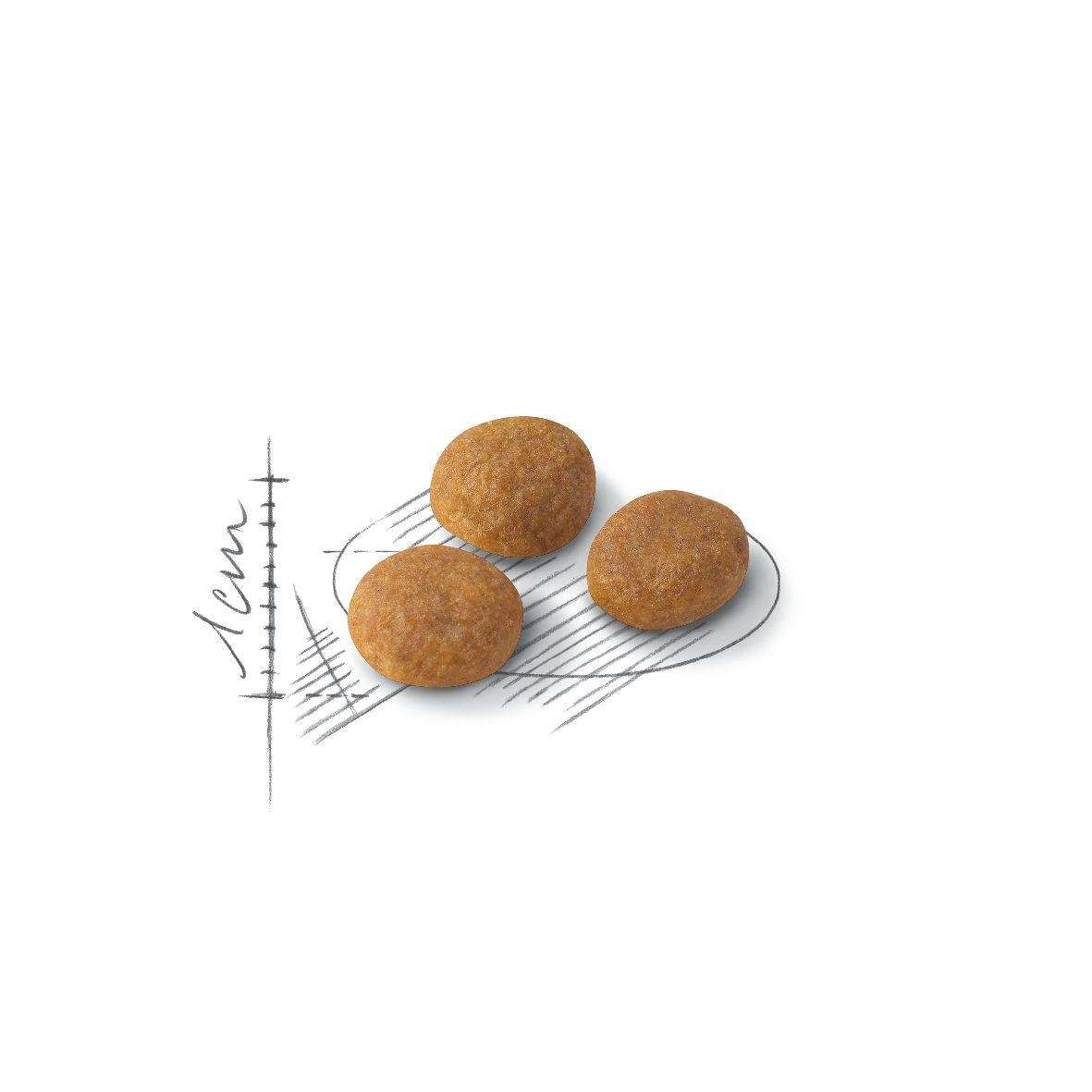 【ROYAL CANIN法國皇家】挑嘴貓-濃郁香氣E33(4kg)
