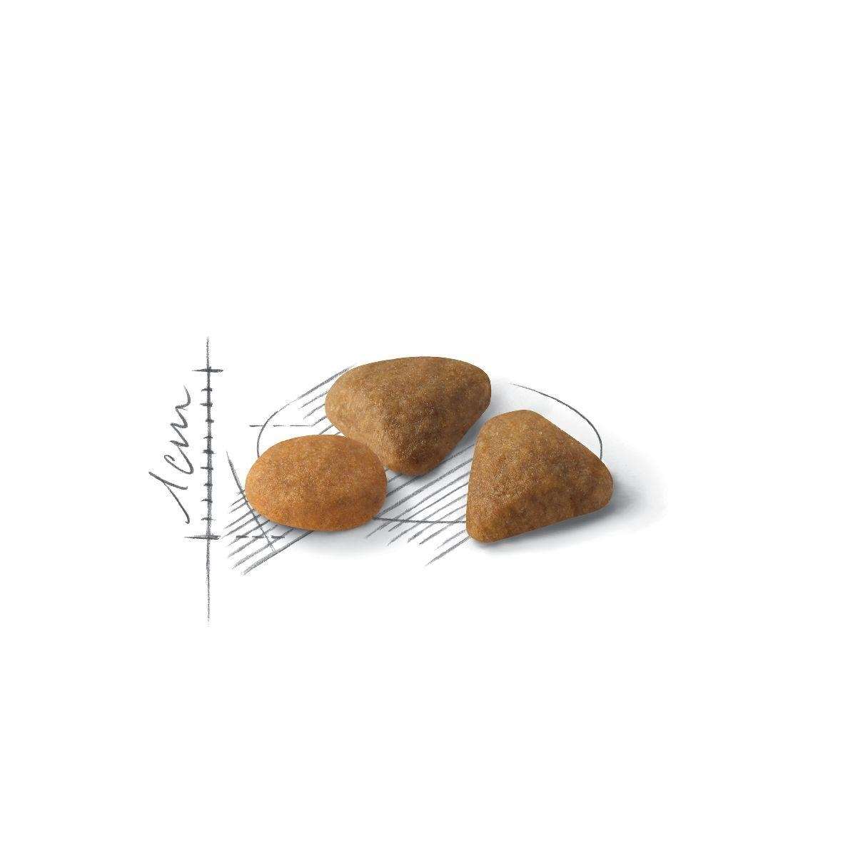 【ROYAL CANIN法國皇家】挑嘴貓-絕佳口感E35(2kg)