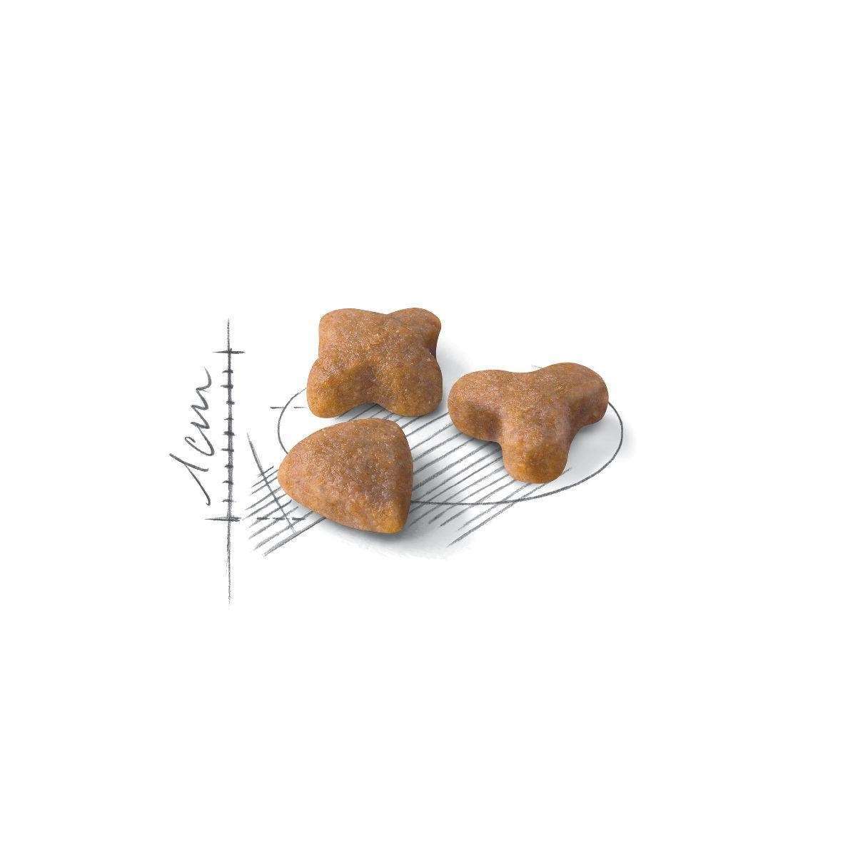 【ROYAL CANIN法國皇家】腸胃敏感成貓S33(10kg)