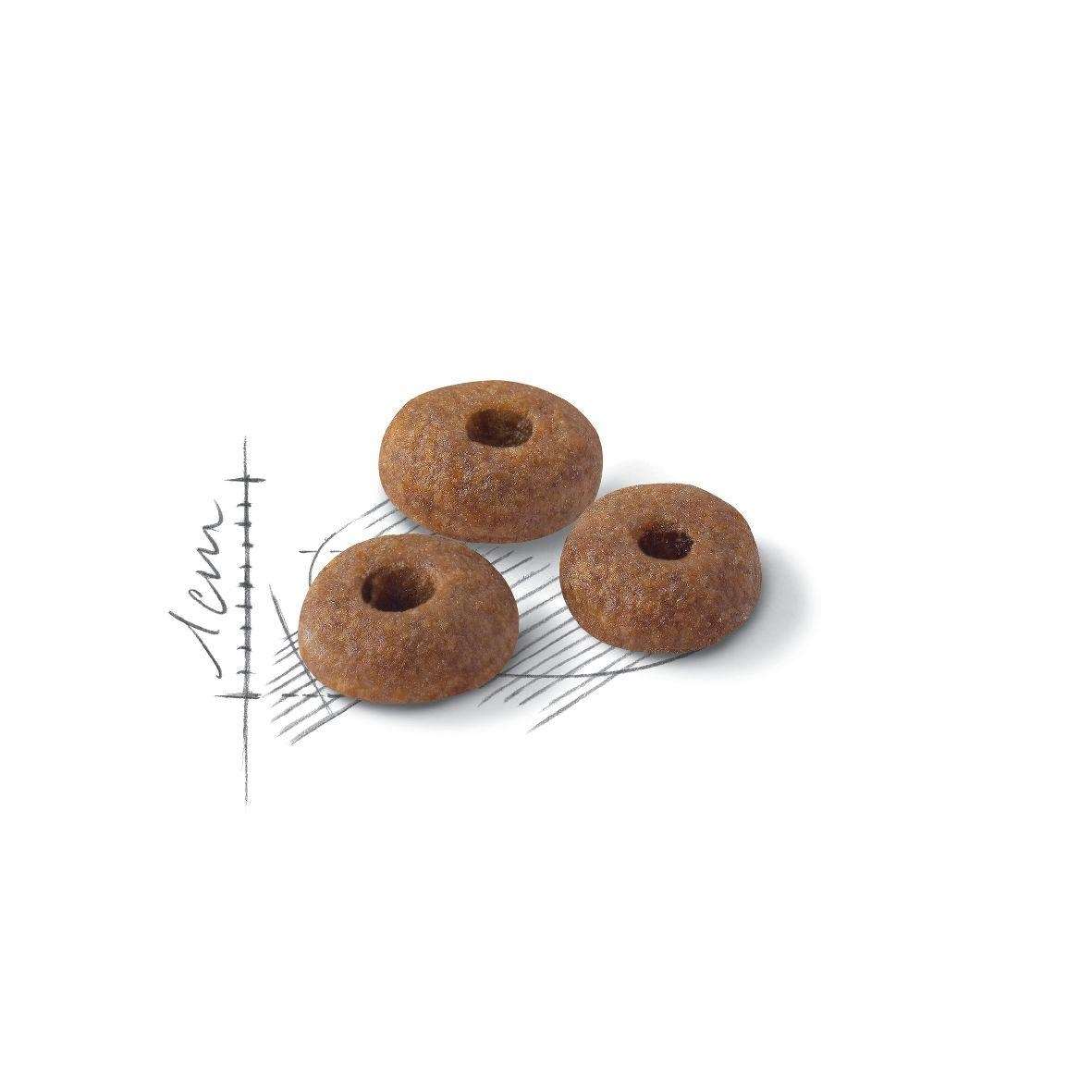 【ROYAL CANIN法國皇家】理想體態成貓F32(15kg)