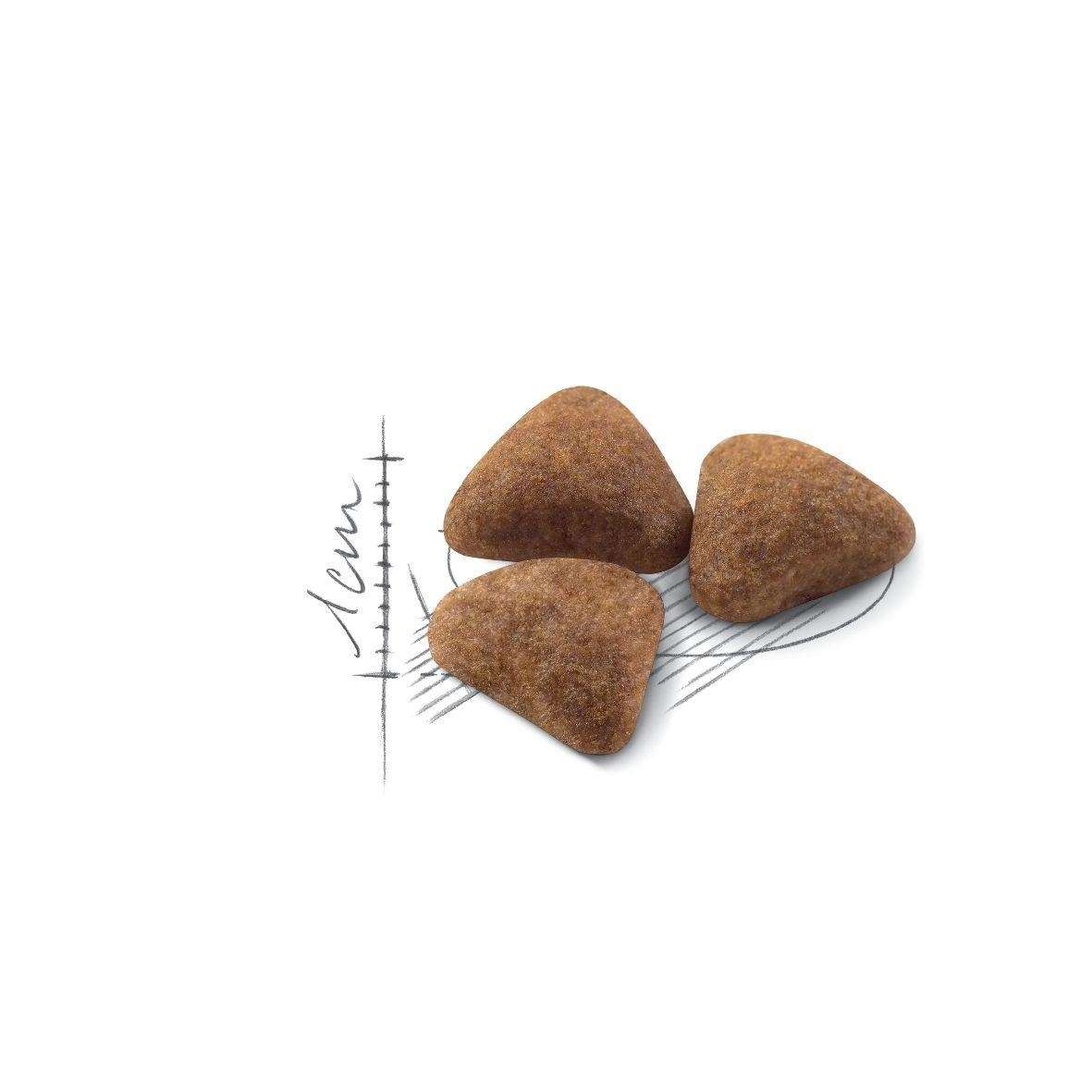 【ROYAL CANIN法國皇家】室內成貓IN27(10kg)