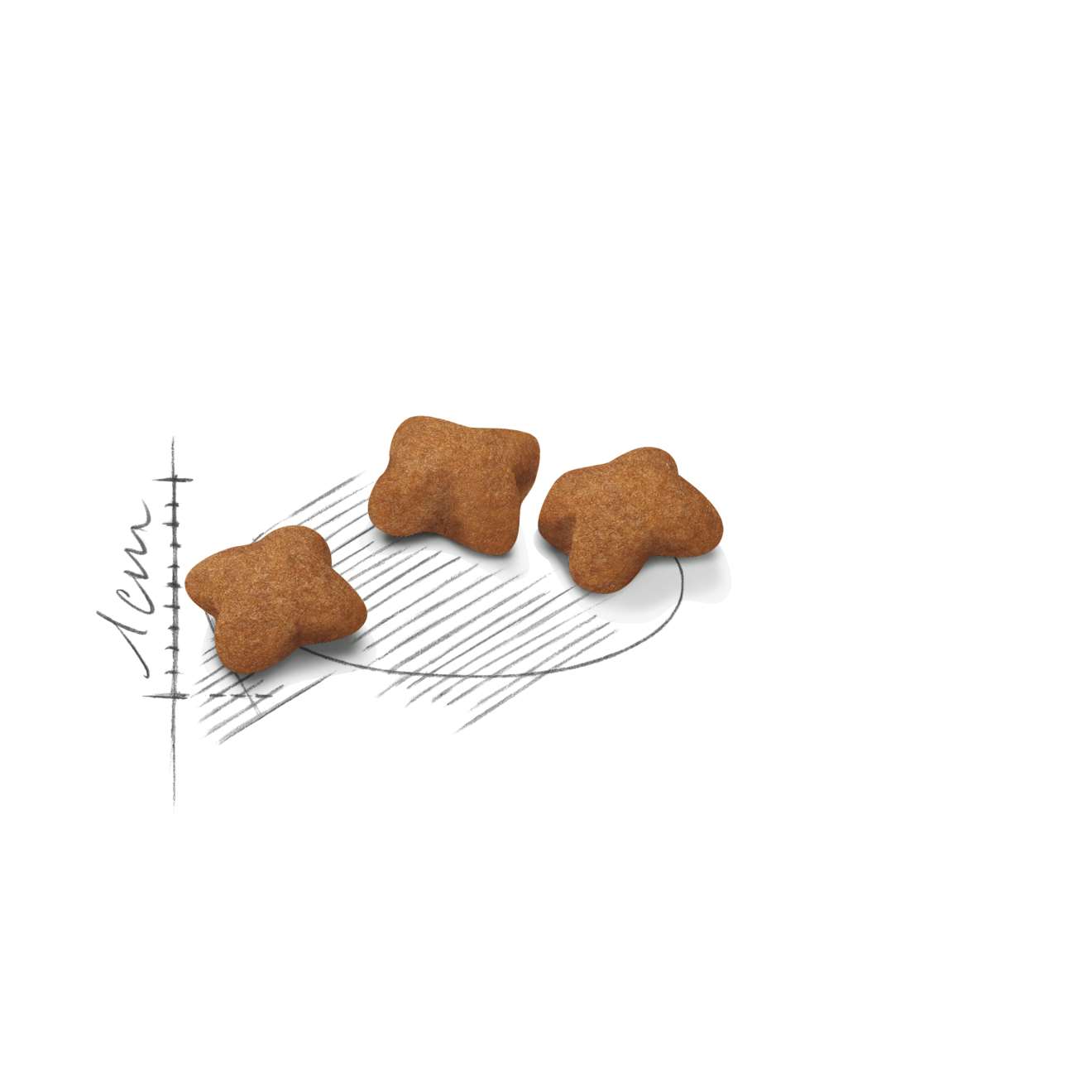  【ROYAL CANIN法國皇家】幼母貓K36(10kg)