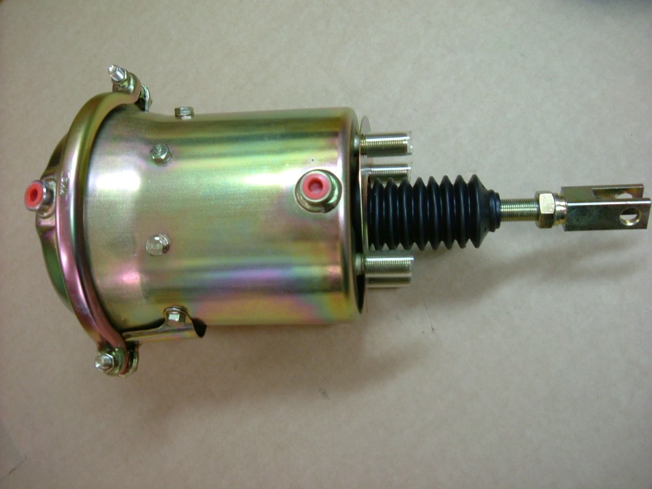 MC886520