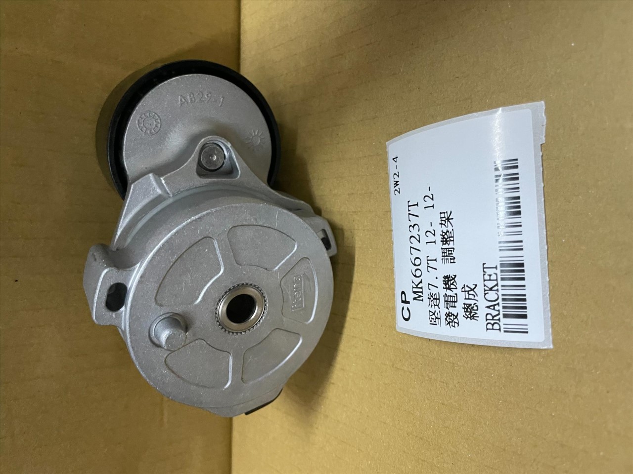 MK667237T
