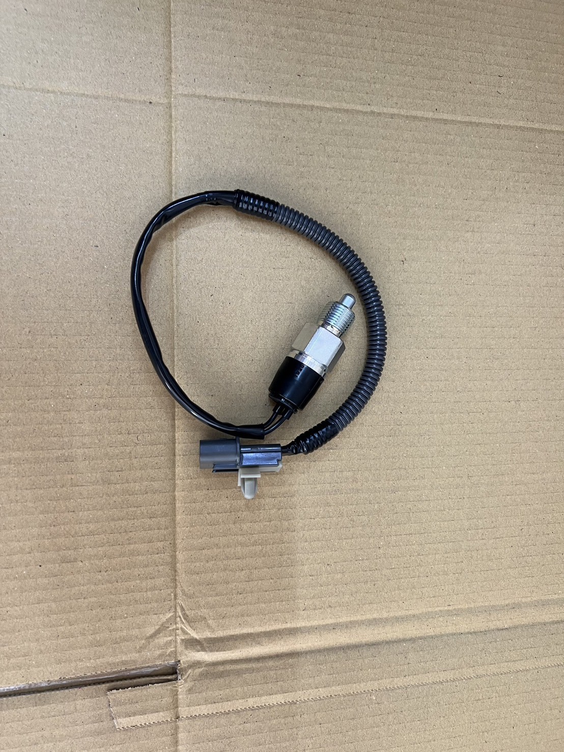 MK542591+