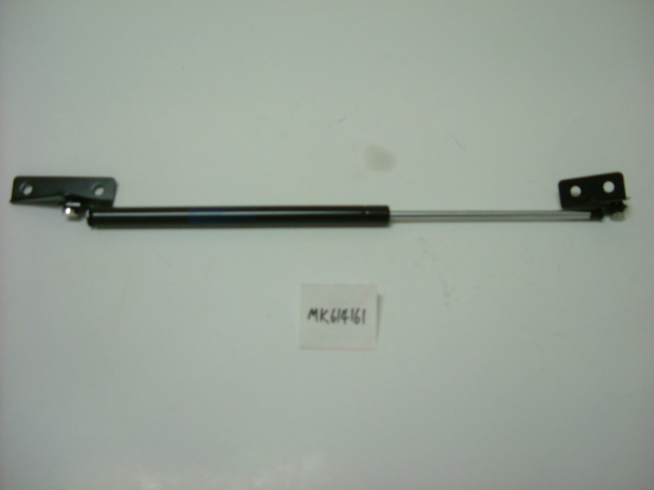 MK614161