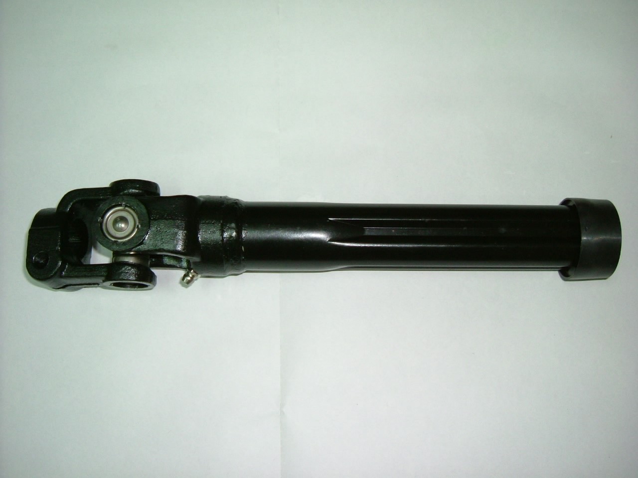MC818361