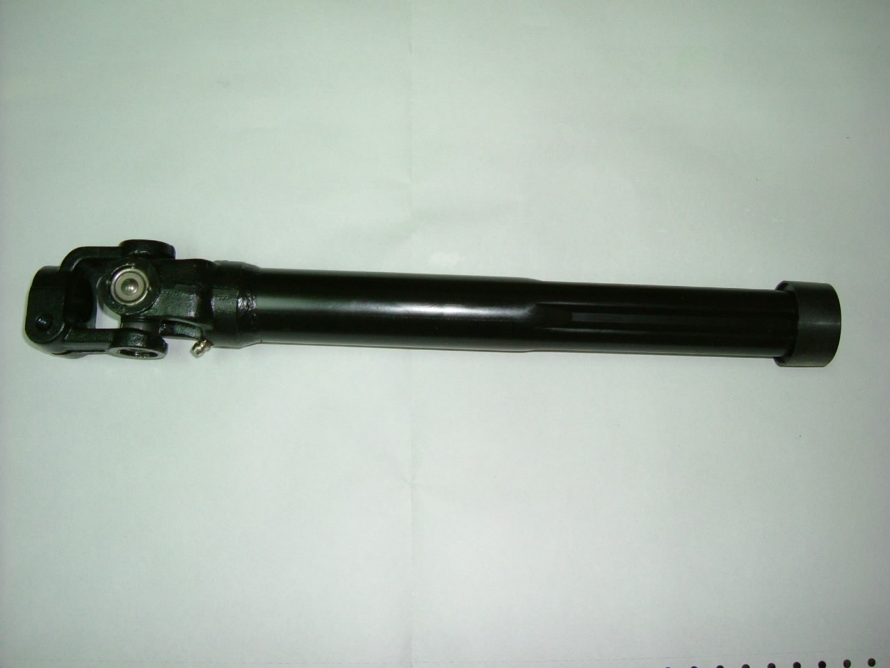 MC818468