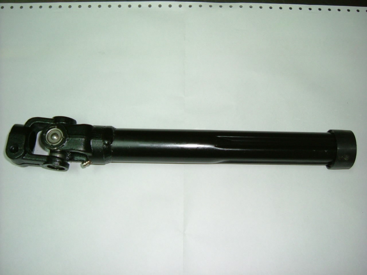 MC025486