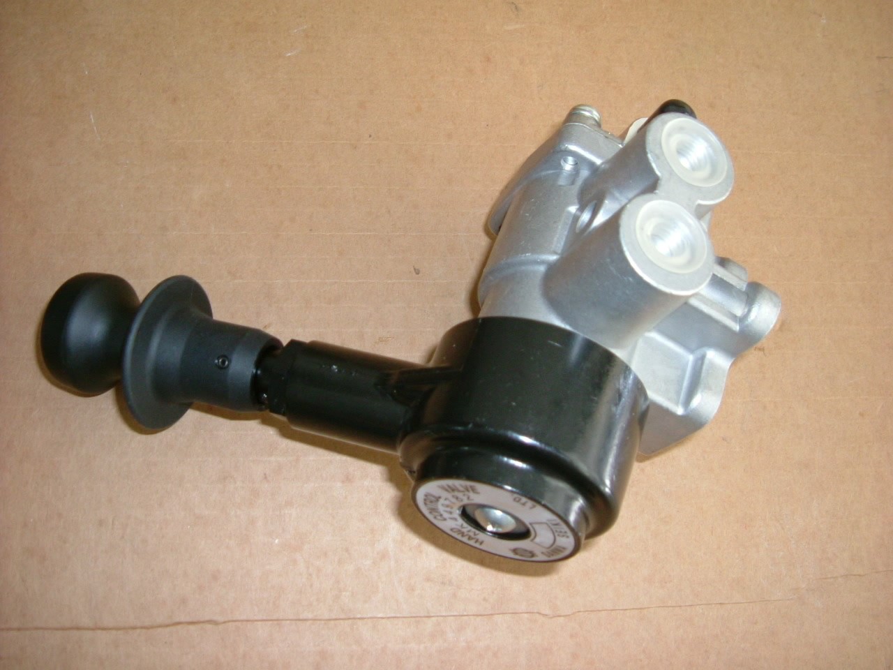 MK449782