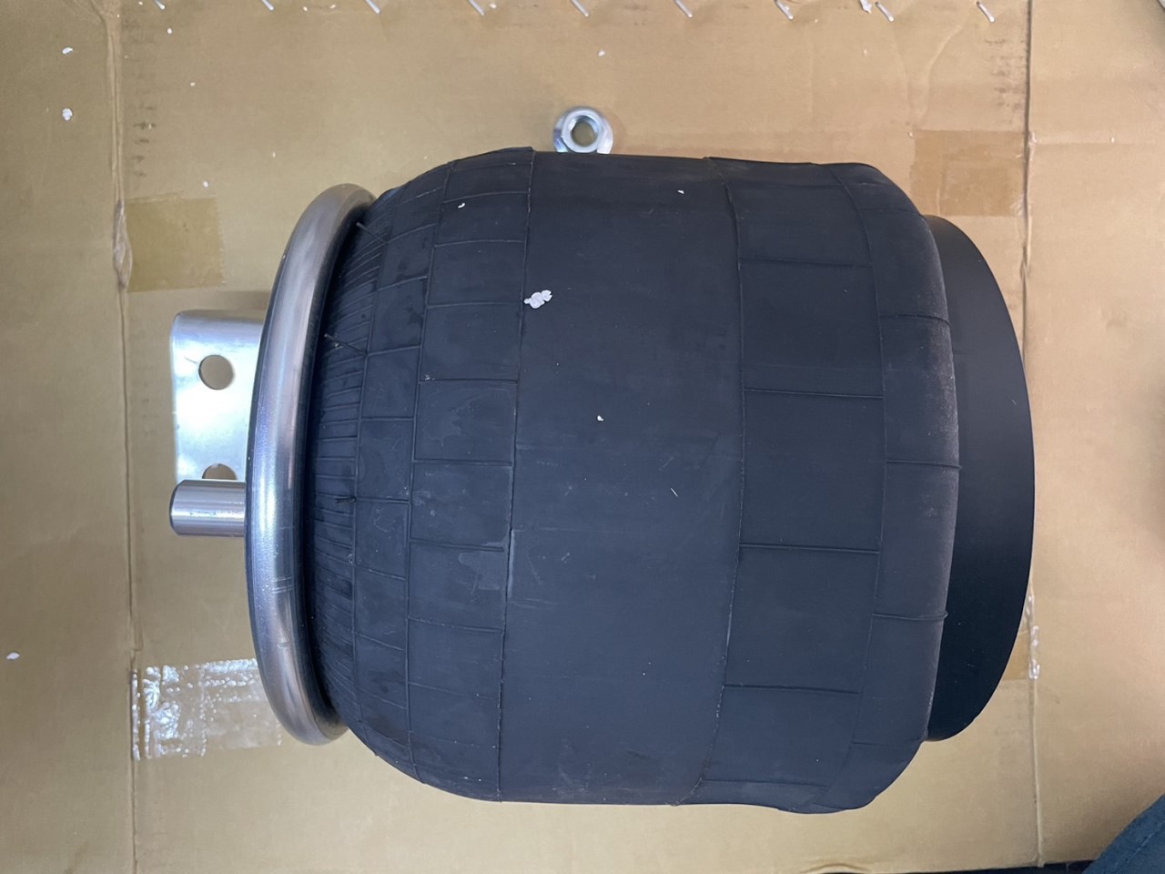 MK632044T