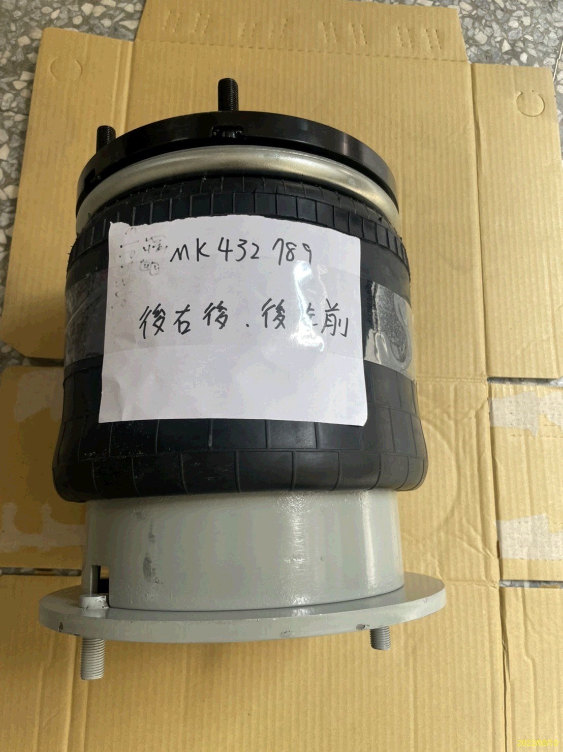 MK432789