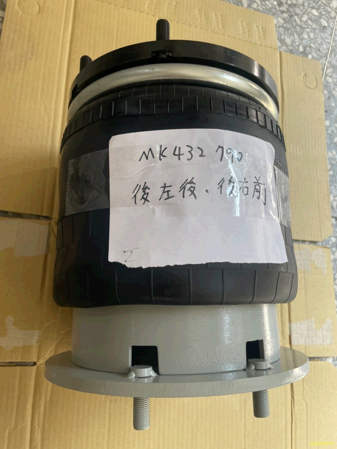 MK432790