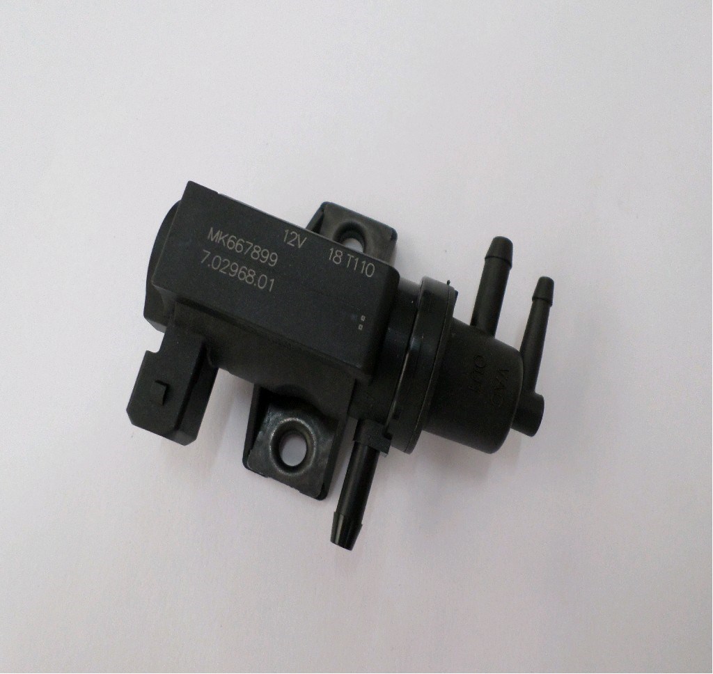 MK667899
