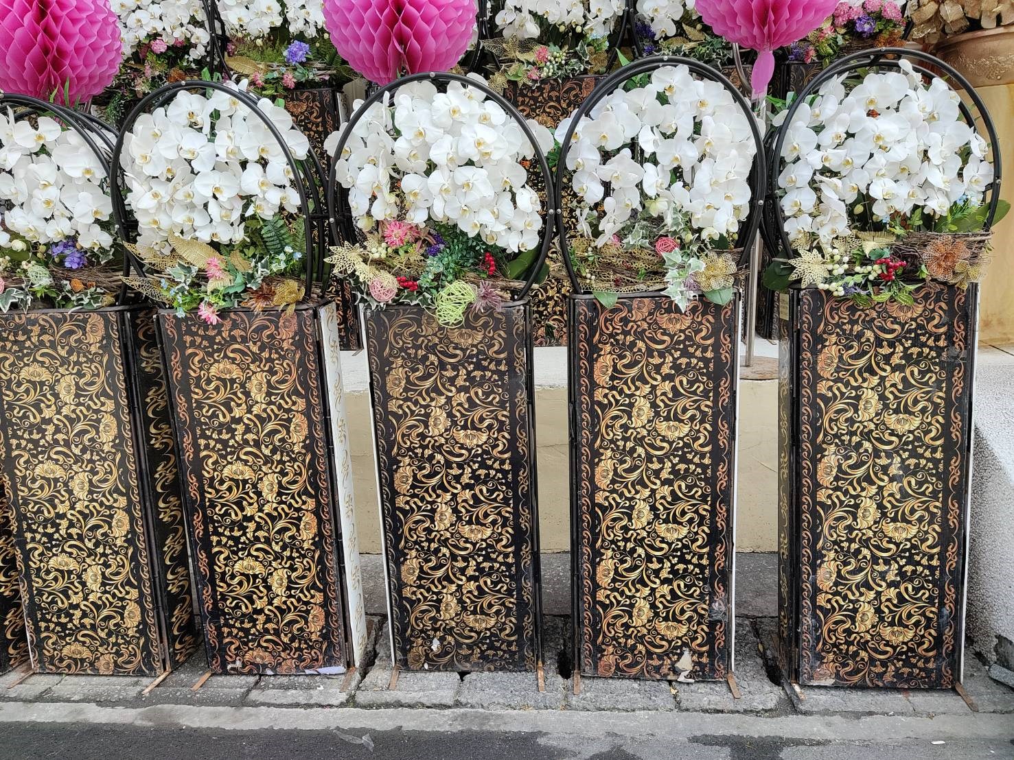 日式蘭花一對(中壢以北-含運)