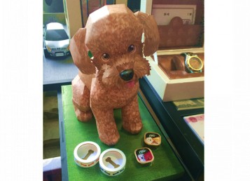 貴賓犬-精品型