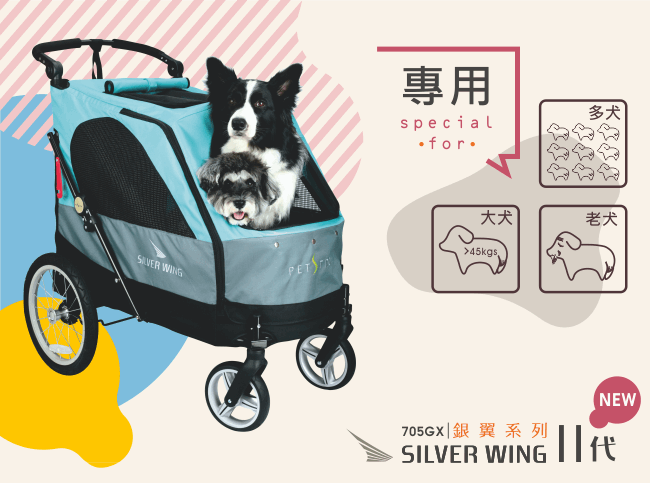 【沛德奧Petstro】705-GX 銀翼系列二代-土耳其藍/酒紅色