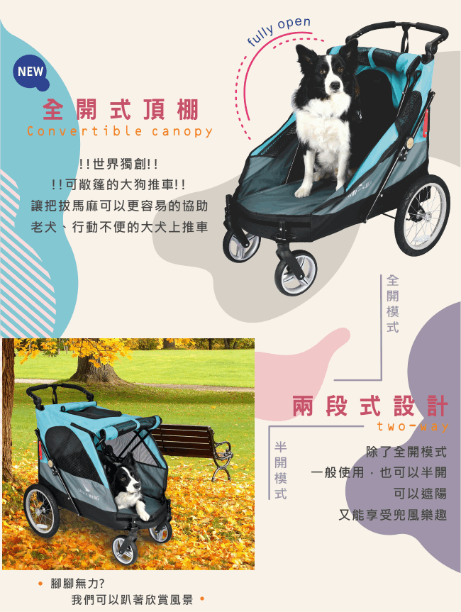 【沛德奧Petstro】705-GX 銀翼系列二代-土耳其藍/酒紅色