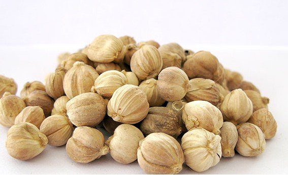 白豆蔻 600g