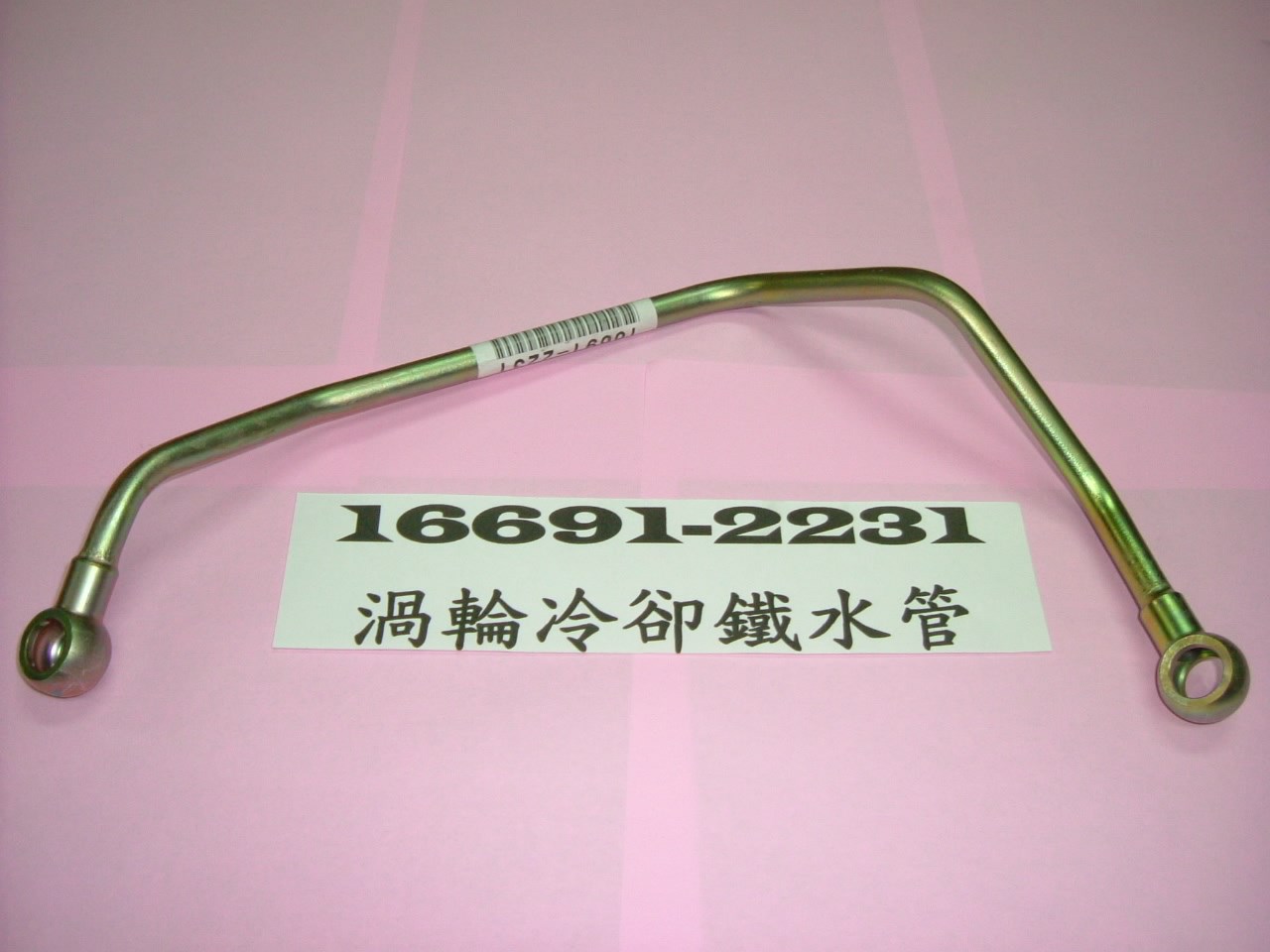 16691-2231
