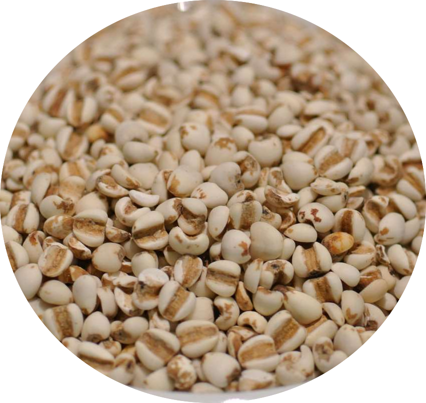 大薏仁 1kg