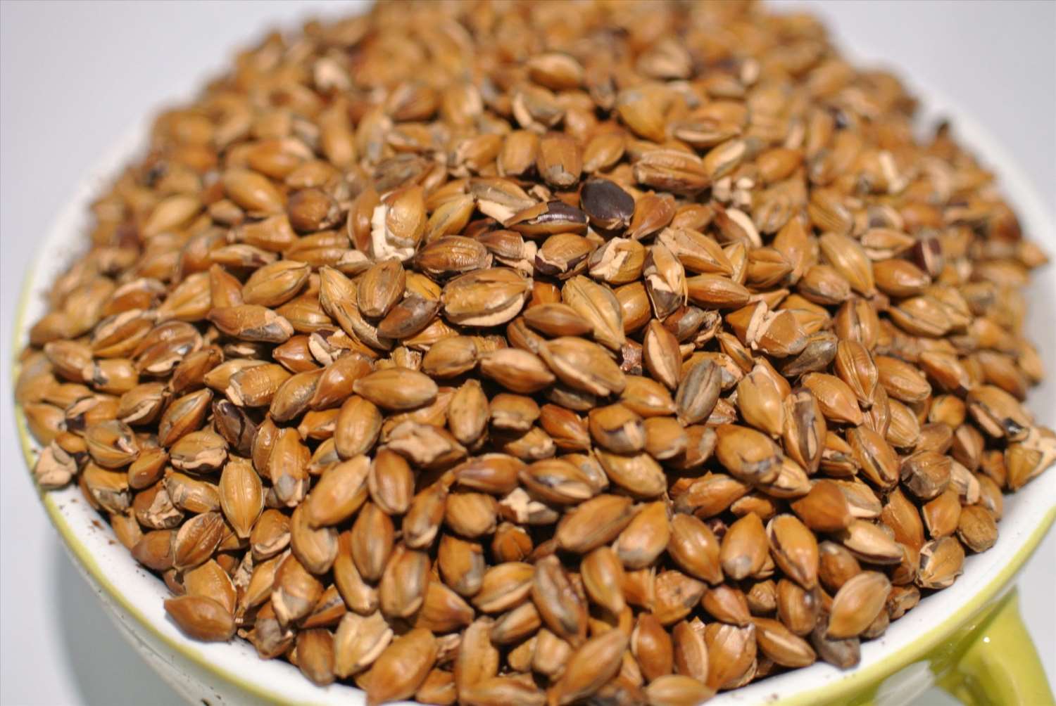 麥茶 250g