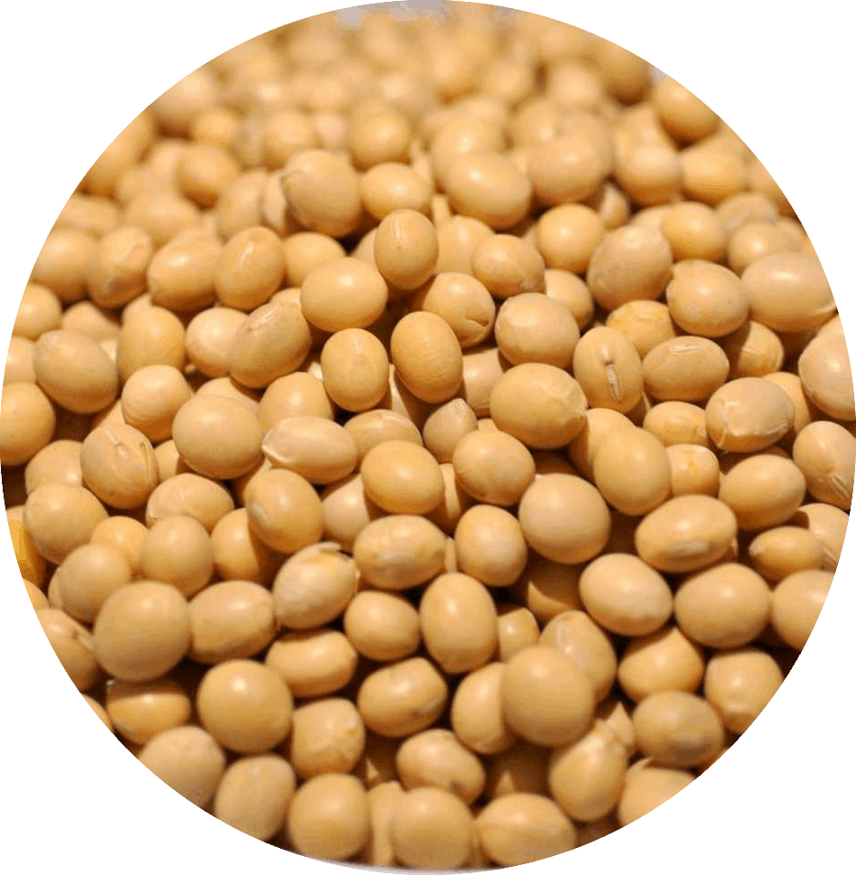黃豆 1kg