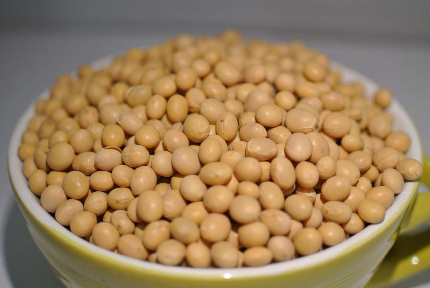 黃豆 1kg