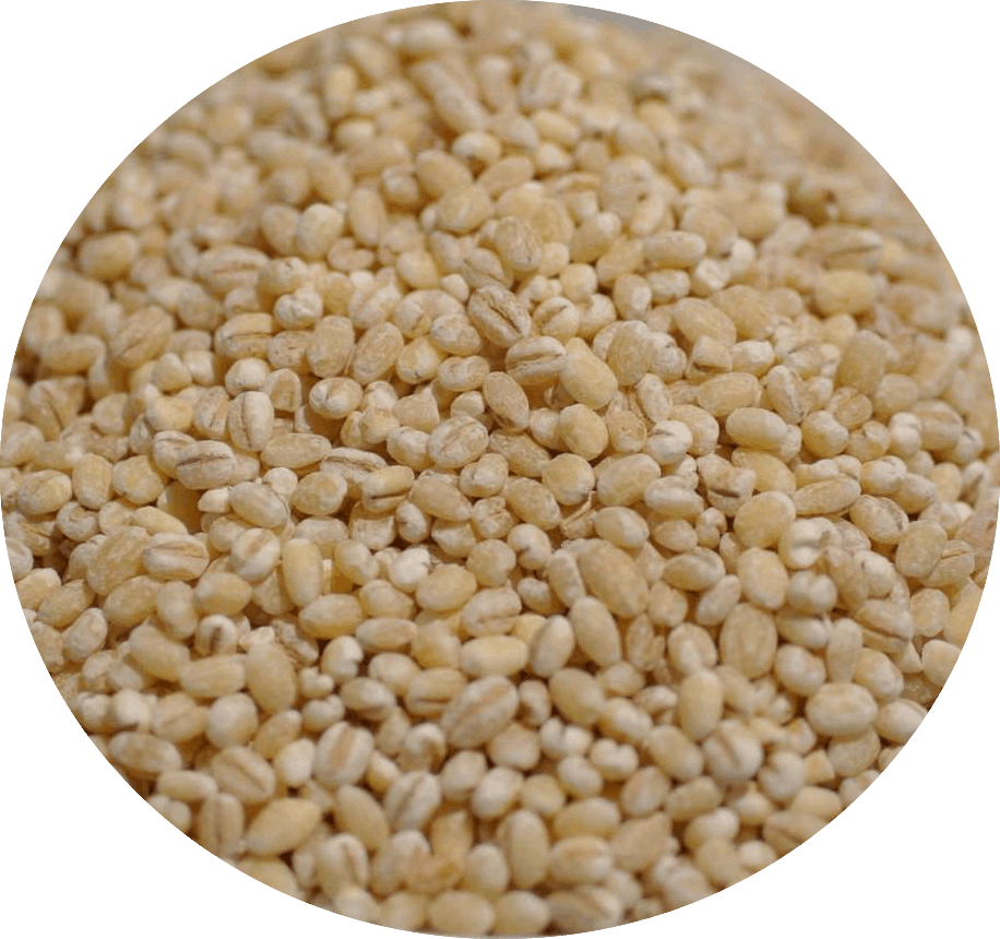 小薏仁 1kg